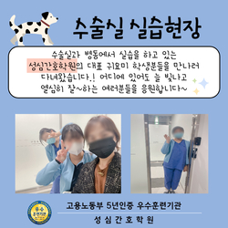 수술실/병동 실습 현장